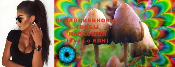 спайс Алексеевка