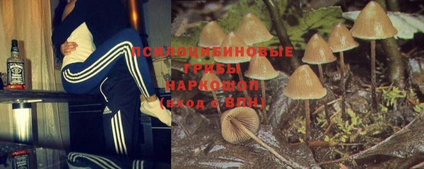 МДПВ Алексин
