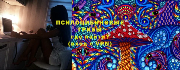 МДПВ Алексин